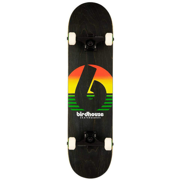 Birdhouse Complete Skateboard – SUNSET RASTA 7.75